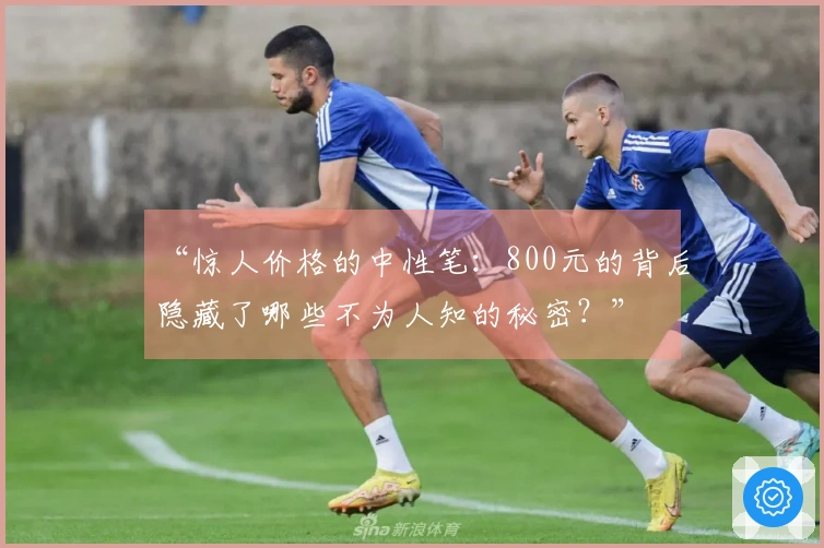 “惊人价格的中性笔：800元的背后隐藏了哪些不为人知的秘密？”