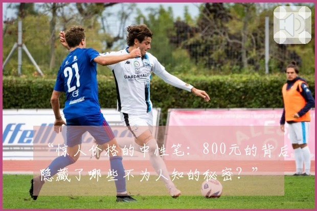 “惊人价格的中性笔：800元的背后隐藏了哪些不为人知的秘密？”