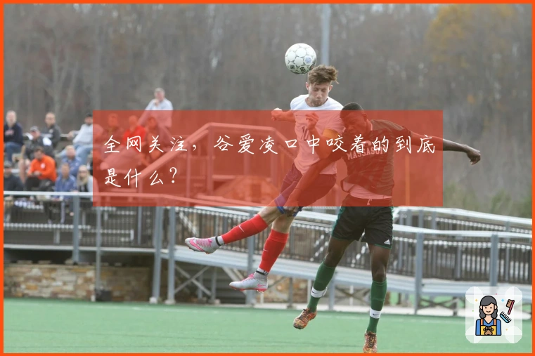 全网关注，谷爱凌口中咬着的到底是什么？