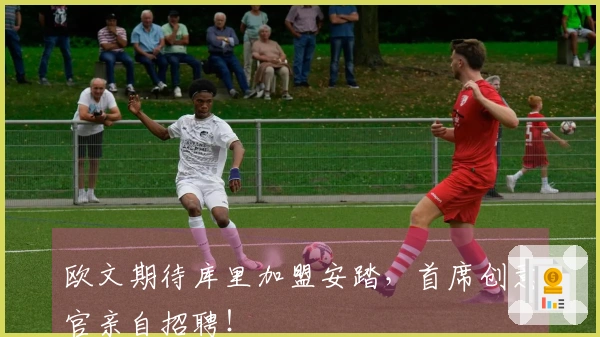 欧文期待库里加盟安踏，首席创意官亲自招聘！