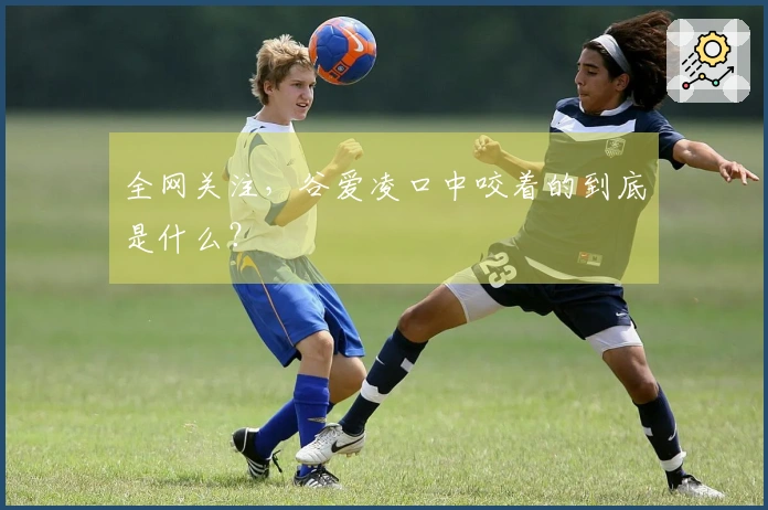 全网关注，谷爱凌口中咬着的到底是什么？